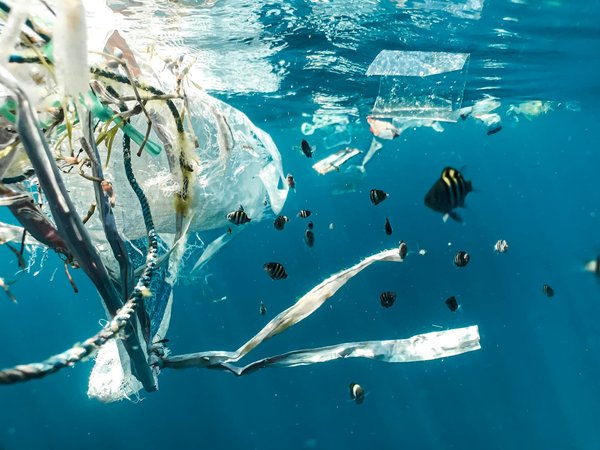 Tech solutions for reducing plastic waste in oceans